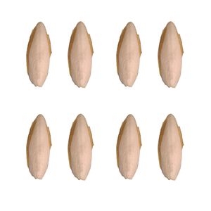 کف دریا کد 864 g وزن 64 گرم مجموعه 8 عددی
